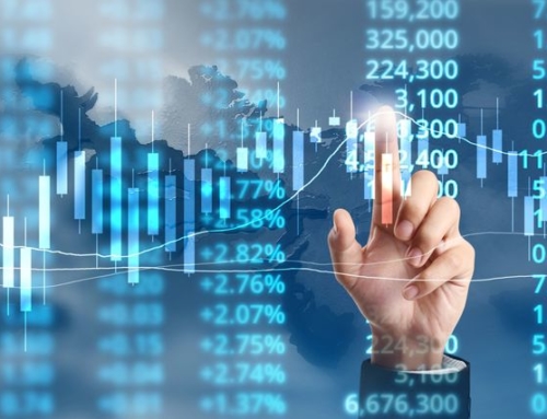 Profit distribution report